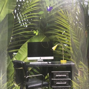Desk Analysis